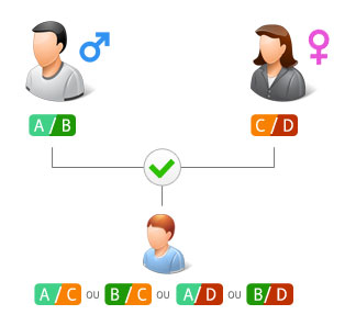 Genotype